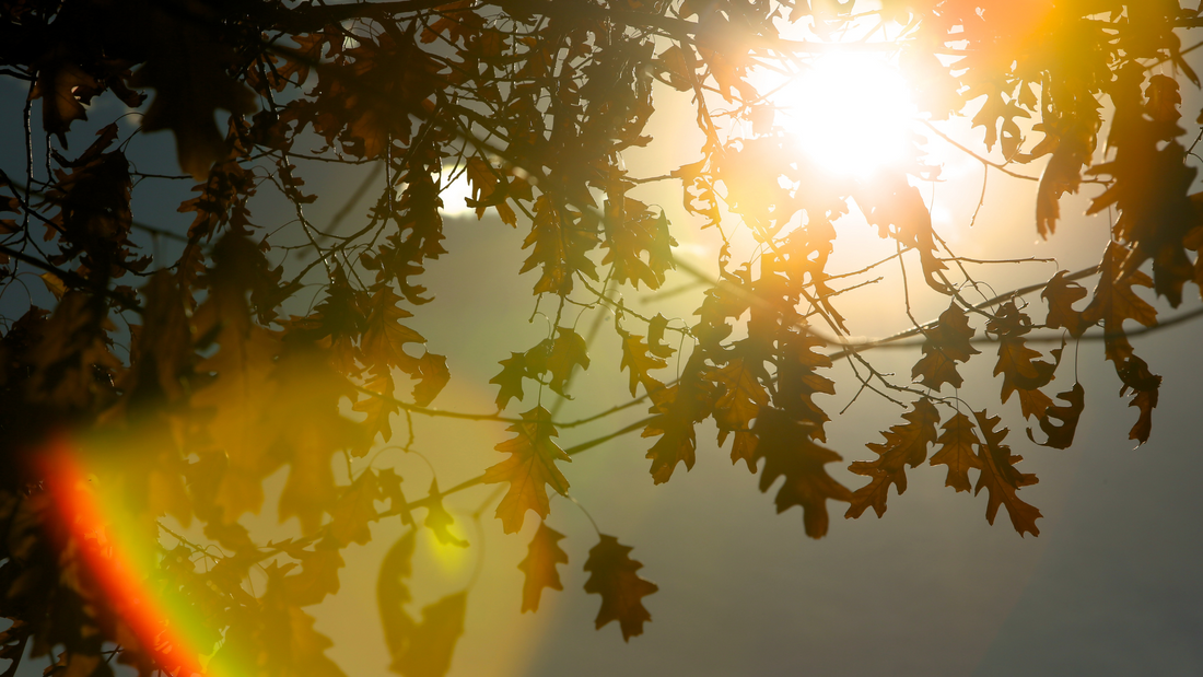 10 Reflections on What Truly Matters and How to Honor Them