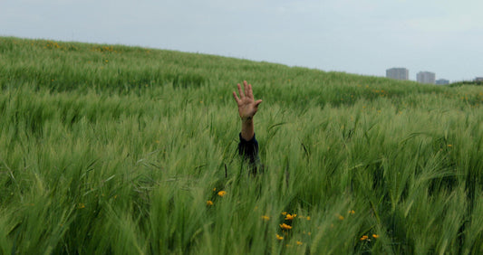 How Mother Earth Guides You Back to Yourself