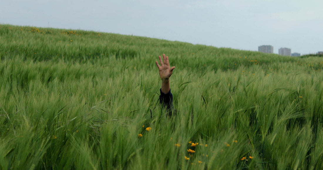 How Mother Earth Guides You Back to Yourself